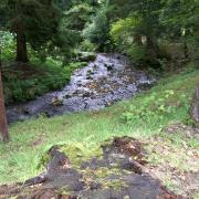 02.10.2005 17-44-36_0033 